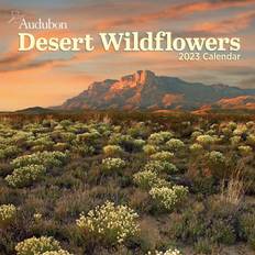 Workman Calendars Audubon Desert Wildflowers 2023