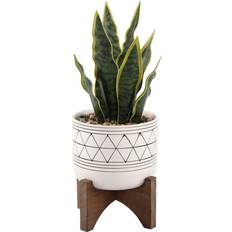 Flora Bunda Outdoor Planter Boxes Flora Bunda 12 Snake Plant GEO Paint