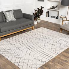 Carpets & Rugs Nuloom Blythe 5 Gray, White