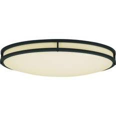 Designers Fountain EnviroLite 24 Ceiling Flush Light