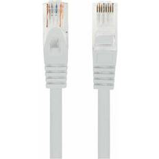Lanberg PCU6-10CU - Patchkabel 2