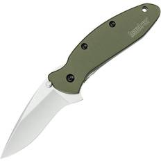 Kershaw Scallion Linerlock A/O (1620) Pocket knife