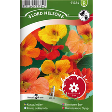 Nelson Garden Slyngblomsterkarse Mix Blomsterfrø