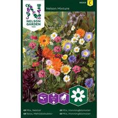 Nelson Garden Fröer Mix Nectar