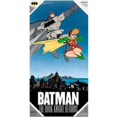 Poster DC Comics Batman and Robin glass poster