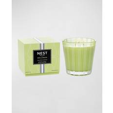 Interior Details NEST New York Lime Matcha 3 Wick Scented Candle 21.2oz