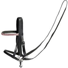 3 Käpphästar Cheval Roi Cheval Roi träns till käpphäst, rosa pannband