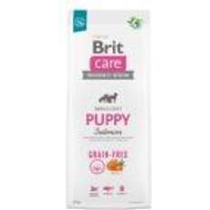 Brit Care unga hundar av raser veckor 12 Dog Grain-Free Puppy Salmon 12kg