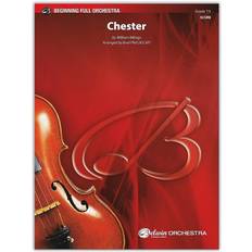 Soportes de Suelo Chester