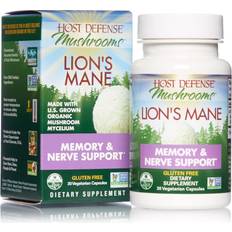 Lion's Mane Memory & Nerve Support with Mushrooms