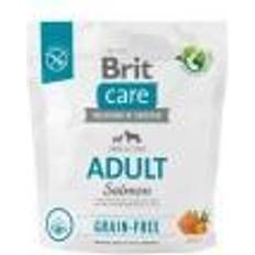 Brit dog salmon Brit Care Dog Adult Grain Free Salmon