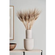 of Flowers - Triticum beard
