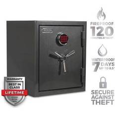 Security Sanctuary Platinum Safe Metallic Finish, Dark