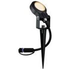 Golden Spotlights Paulmann P+S Sting 2200K Spotlight