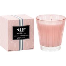 NEST New York Himalayan Salt & Rosewater Scented Candle 8.1oz