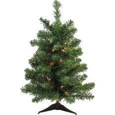 Christmas Trees Northlight Seasonal 2-ft. Pre-Lit Mixed Canadian Pine Artificial Christmas Tree