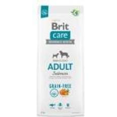 Brit Hundar Husdjur Brit voksne hunde, små og mellemstore racer - Care Grain-free Salmon