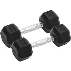 Träningsutrustning vidaXL Hantlar 2 st 10 kg gjutjärn