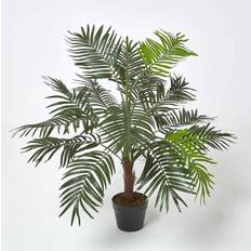 Tropical Office Conservatory Green 