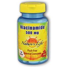 Nature's Life Niacinamide 500 mg 100 100 pcs