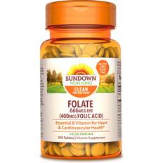 Sundown Naturals Folic Acid 400 mcg 350 Yeast