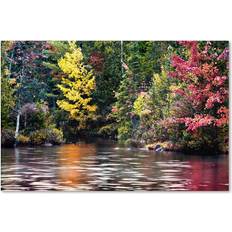 Wall Decor Trademark Fine Art David Ayash "Adirondacks" 16x24 Canvas Wall Decor