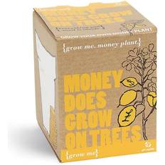 Halpa Tiedekokeilusarjat Gift Republic Grow Me Money Does Grow On Trees