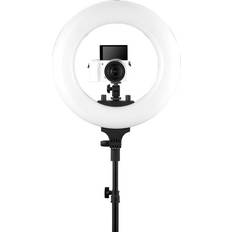 Halo 300 Ring Light