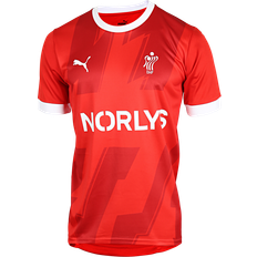 Dhf Puma DHF Denmark Home Jersey 2022-23