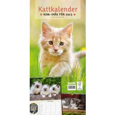 Kattkalender Cat Calendar 2023