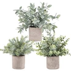 Paper Artificial Plants Der Rose B07VKJKFN2 Artificial Plant 3pcs