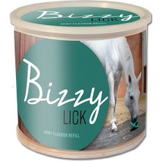 Bizzy Ball sten Mint