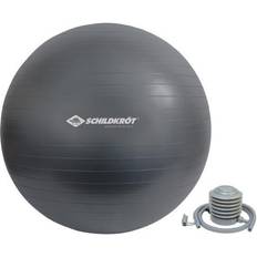 Schildkröt Schildkrot SF FIT GYMNASTIC BALL 75cm [Levering: 4-5 dage]