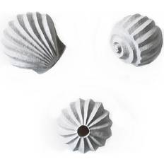 Concrete Decorative Items Cooee Design The Genesis Shells Sculpture Figurine 4cm 3pcs