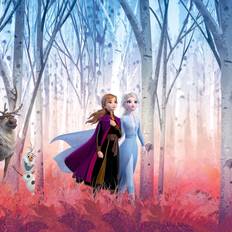 Disney Frozen 2 Friends Forever (8-4102)