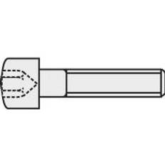 Toolcraft 839678 Cylinderskruer M4 ISO