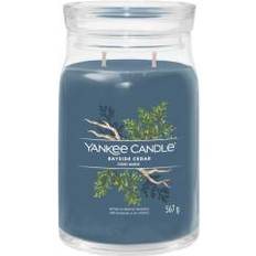 Bleu Bougies Parfumées Yankee Candle Bayside Cedar I. Signature 567 g Bougie Parfumée