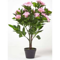 Pink Hydrangea