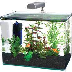 Penn Plax Radius Curved Corner Glass Aquarium Kit 5 Gallon