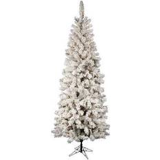 Transparent Christmas Trees Vickerman 5.5Ft Pre-Lit Flocked Pacific Pine Artificial Christmas Tree