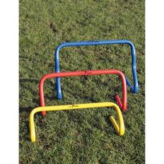 Reydon Precision Agility Hurdle (blue, 12"