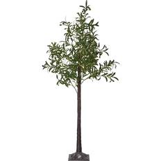 Dekorationsträd lampor Star Trading Dekorationsträd Olive 180cm Jullampa