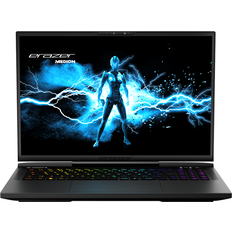 GeForce RTX 4080 - USB-C Laptops Medion Erazer Beast X40 (MD62505)