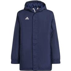 Blau - Daunenjacken Adidas ENT22 Stadium Jacket - Team Navy Blue 2