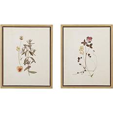 Polystyrene Interior Details Martha Stewart French Herbarium Framed Art 18x22" 2pcs