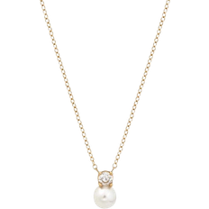 Pärlor Halsband Edblad Luna Necklace - Gold/Pearl/Transparent