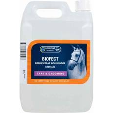 Hestesport på salg Eclipse Biofarmab Biofect 2.5L