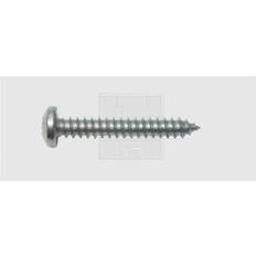 SWG 115351625 Pladeskruer Krydskærv Philips DIN 7981 verzinkt 100