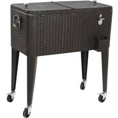 Portabel kyl Dkd Home Decor "Bärbar kyl Metall syntetisk rattan Aluminium (83 x 48 x 86 cm) (76 L)