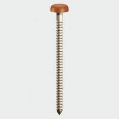 Timco Polymer Headed Pins Stainless Steel Clay Brown PP30CB 30mm